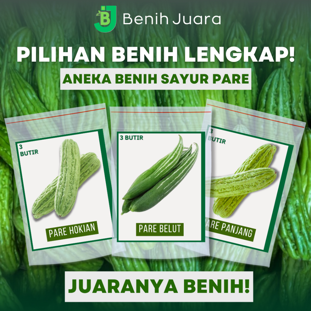PAKET SPESIAL 3 BENIH PARIA PARE PANJANG, PARE HOKIAN, PARE BELUT KEMASAN EKONOMIS