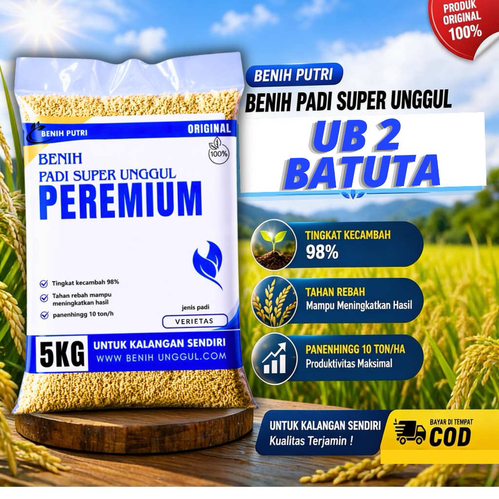 Benih/bibit padi ub2 batuta kemasan 5kg