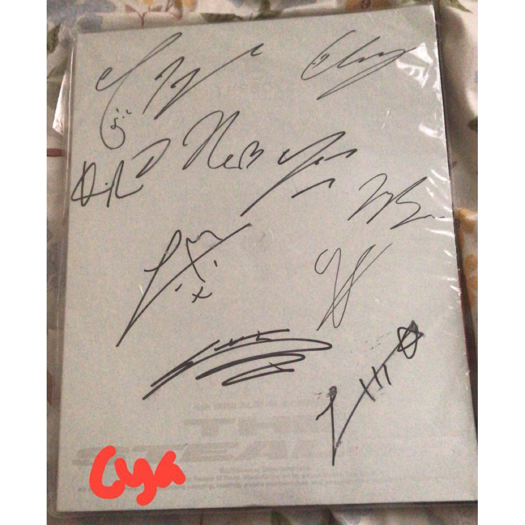 signed album the boyz the stealer
