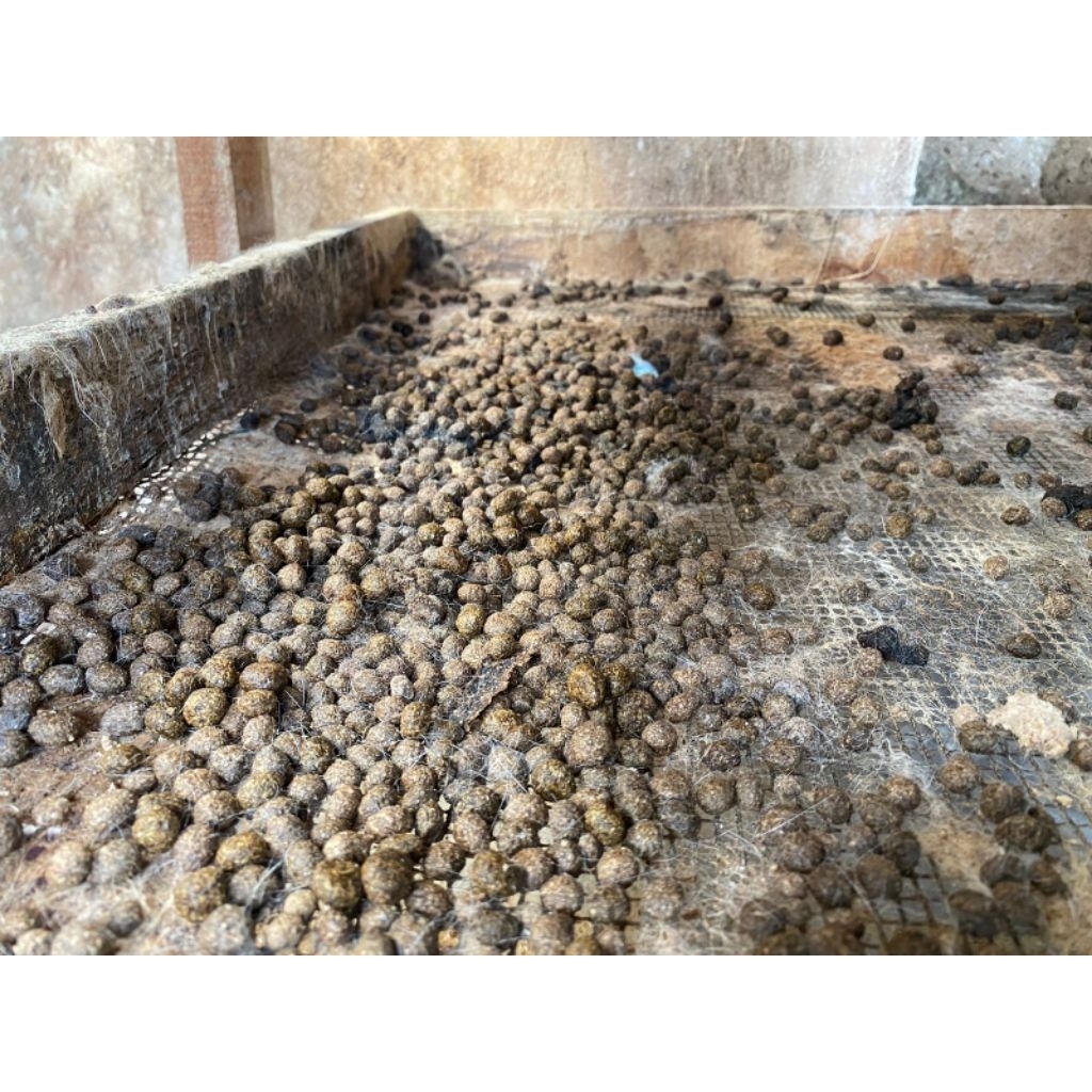 pupuk kotoran kelinci kering perkilo