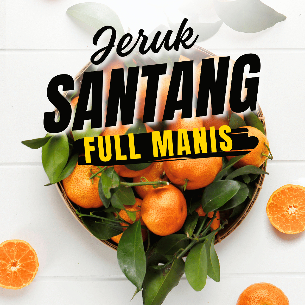 Jeruk Santang Full Manis Jeruk Mandarin Premium Manis