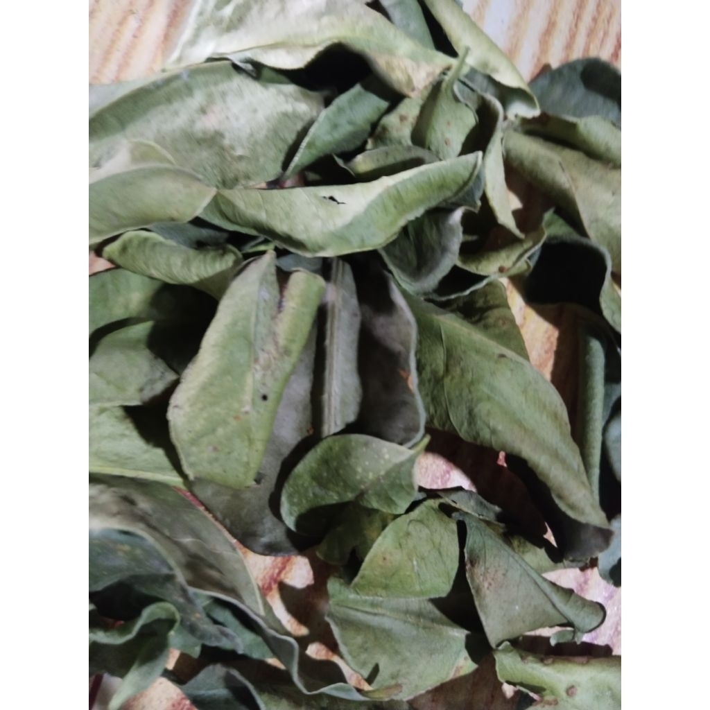 DAUN JERUK PURUT  1 KG