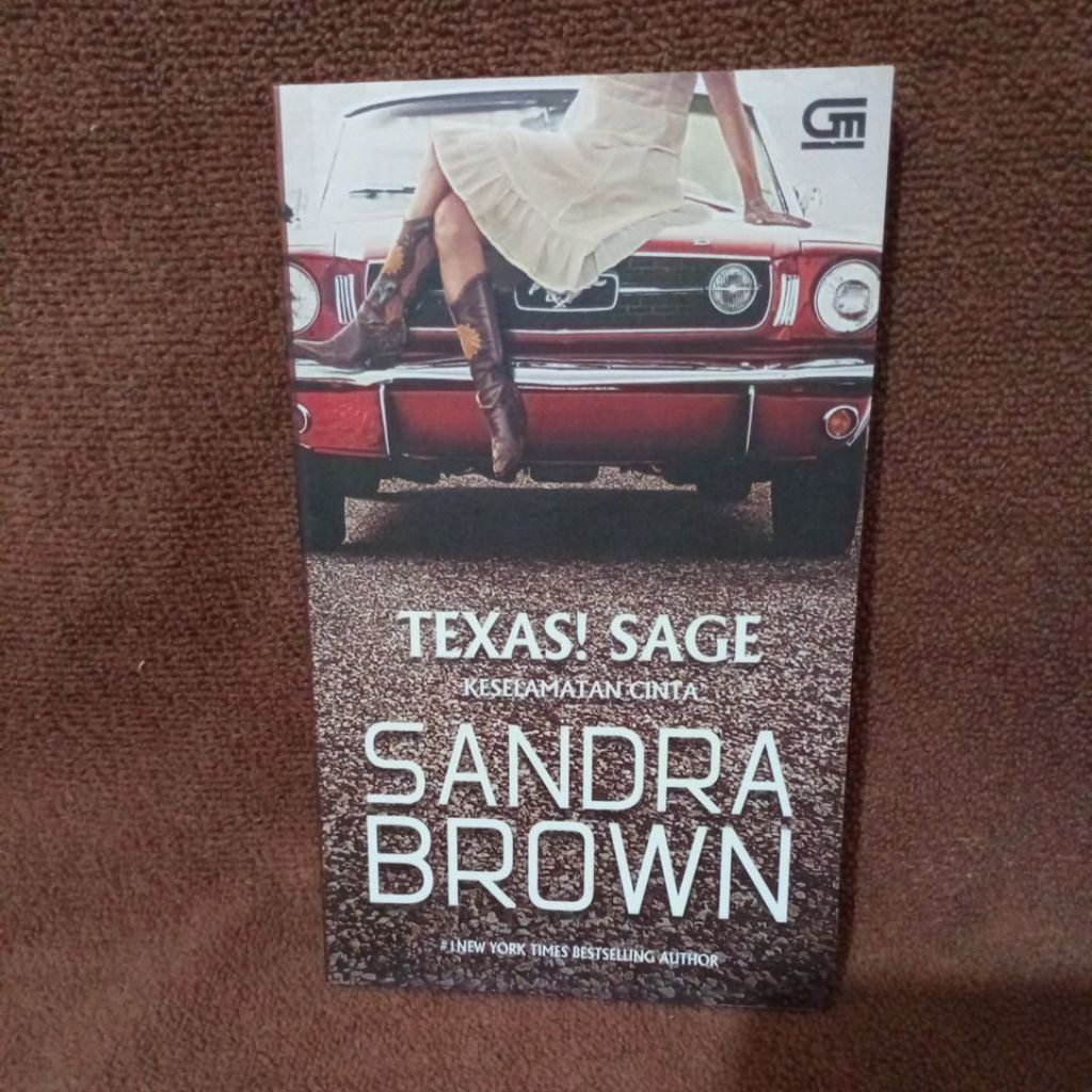 BUKU TEXAS SAGE - KESELAMATAN CINTA - SANDRA BROWN