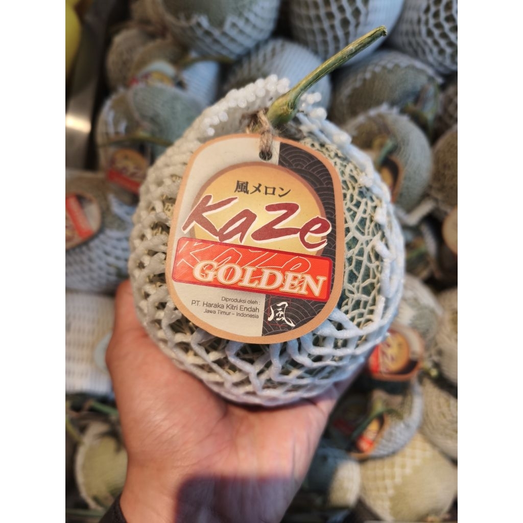 melon golden Kaze Premium melon daging orange fresh -+1,3 kg