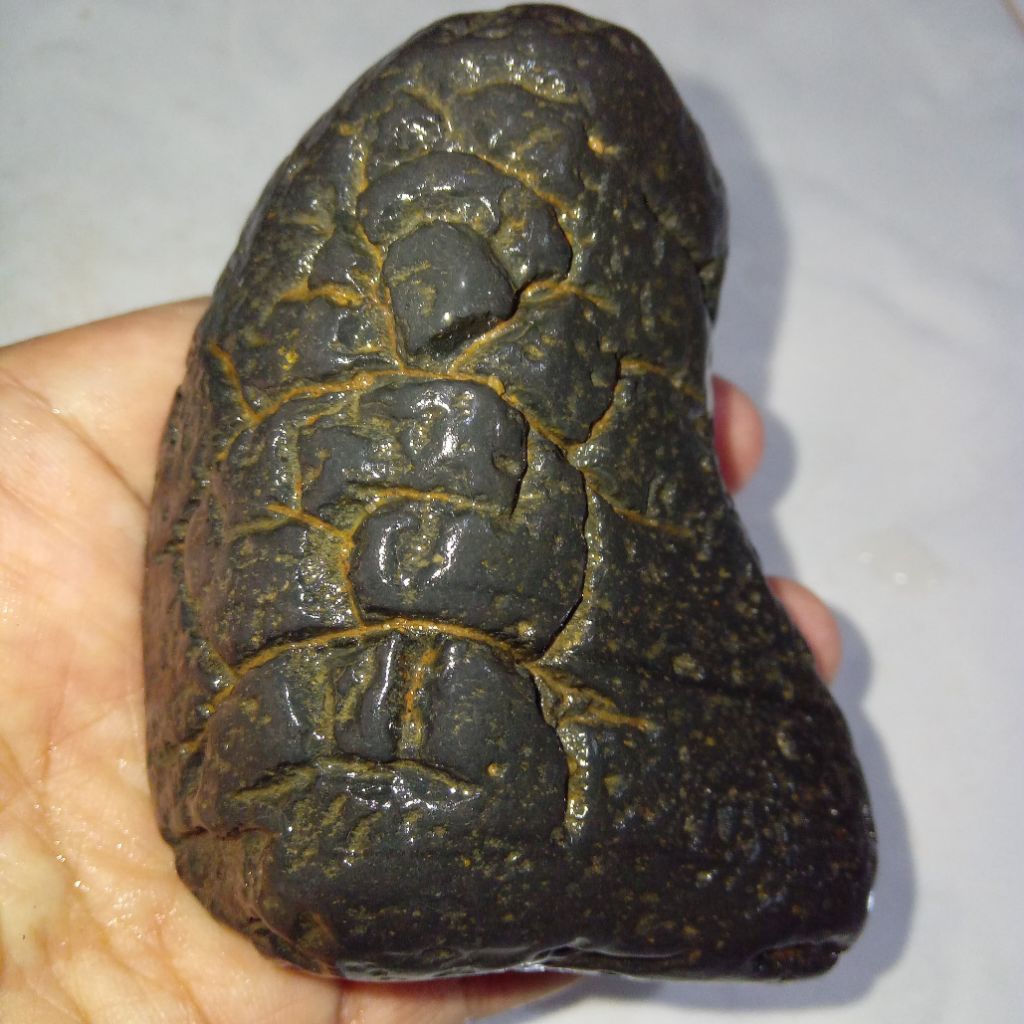 Original Batu Satam Jumbo Ukuran Besar Istimewa