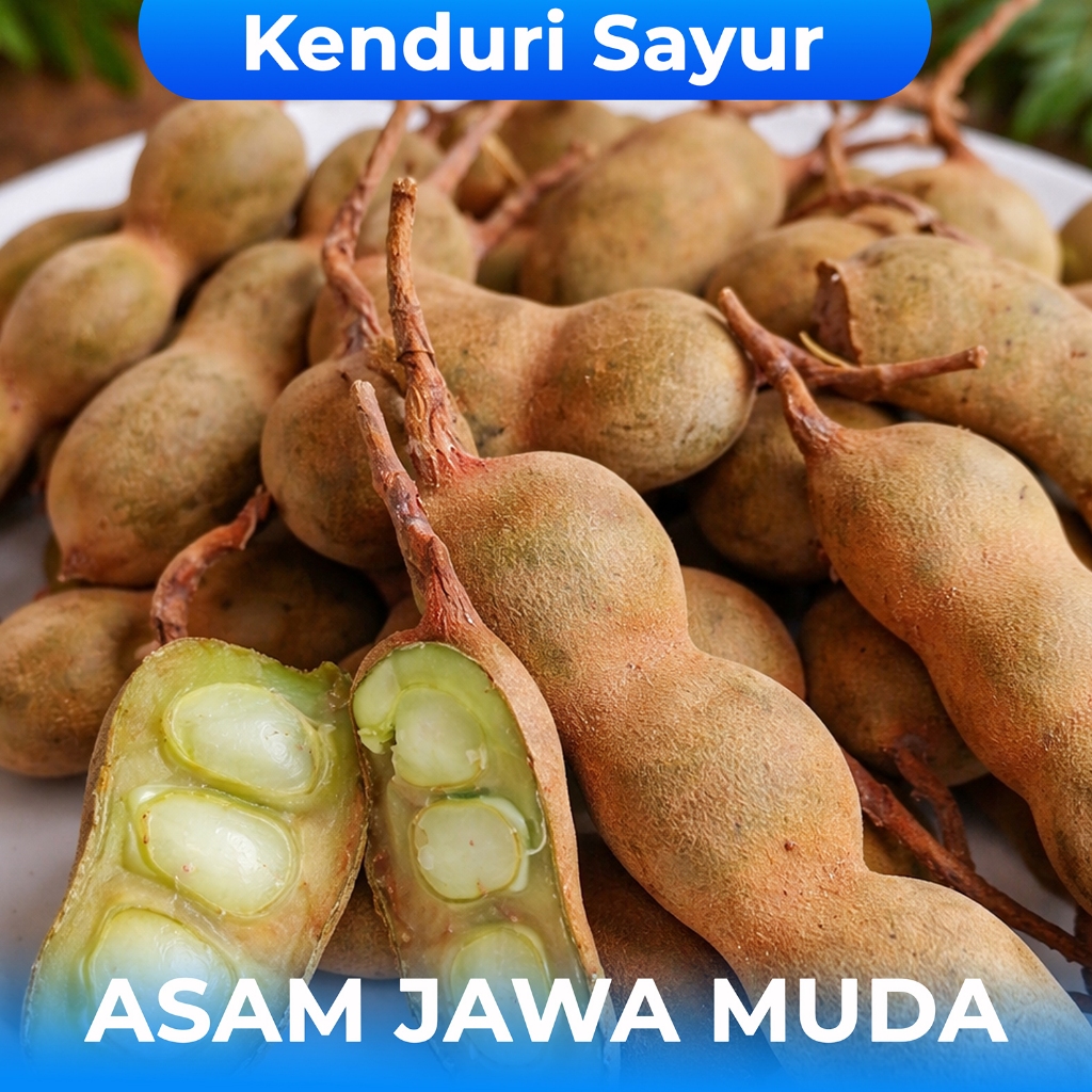 Asam Jawa Muda , Asam Jawa Mentah Segar Alami 250 Gram