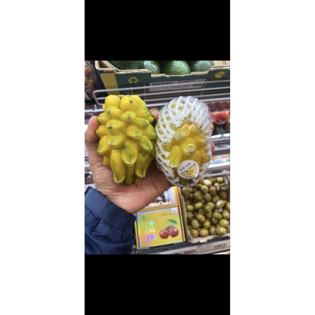Buah Naga Yellow Import - Dragon Fruit Yellow Swet - Buah Naga Kuning Import Manis Segar dan Lezat