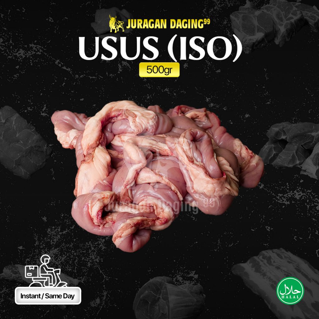 Iso Usus Sapi Segar 500 gr - Halal & Berkualitas