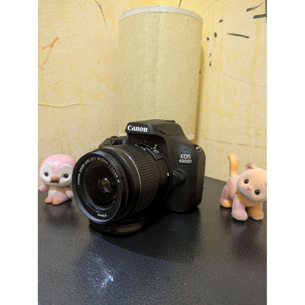 Canon4000D