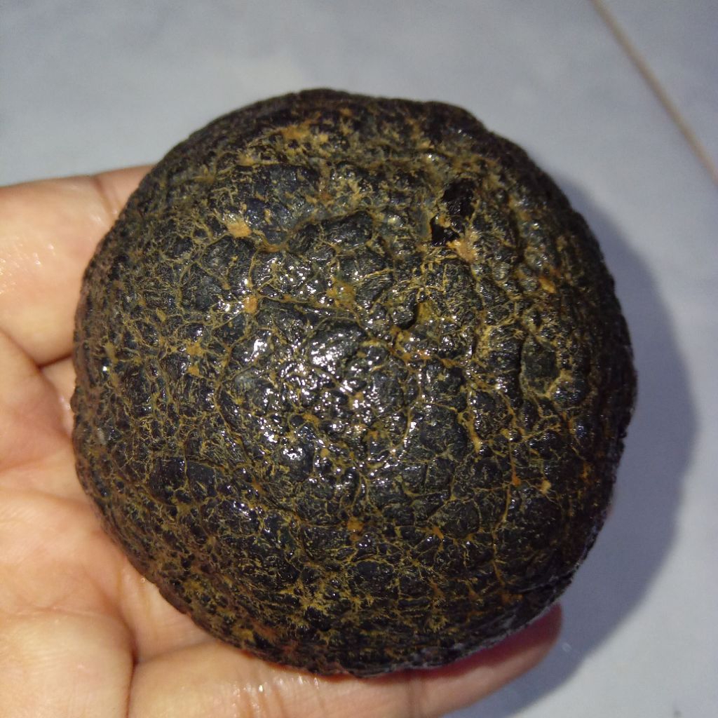 Original Batu Satam Jumbo Ukuran Besar Istimewa