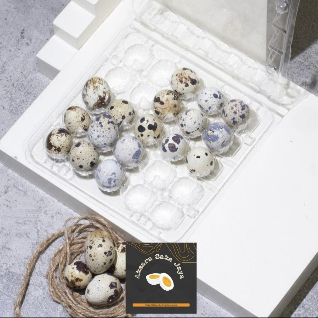 TERLARIS MIKA TELUR PUYUH ISI 25 BUTIR SUDAH ADA PENGUNCI [25 PCS]
