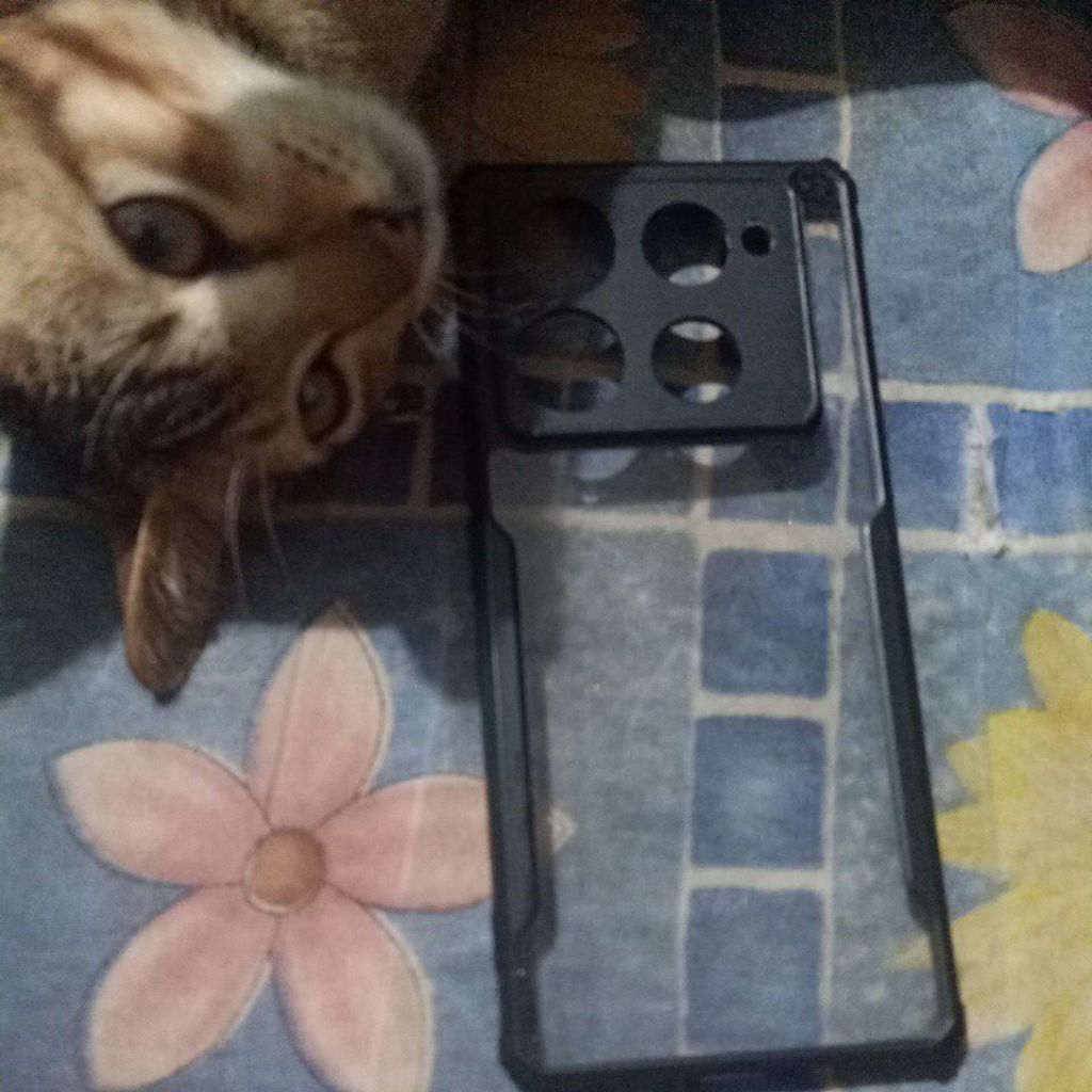casing motorola