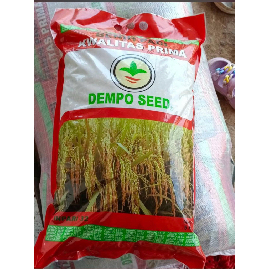 BENIH PADI INPARI 32 dempo 5kg benih padi premium berlabel resmi