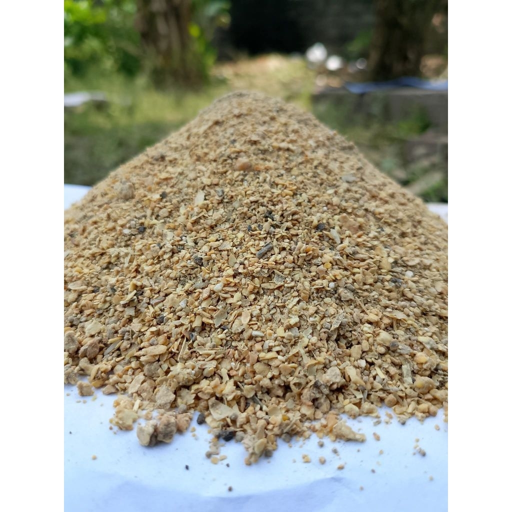 konsentrat pedaging kgp 709 (riject pabrik) murah