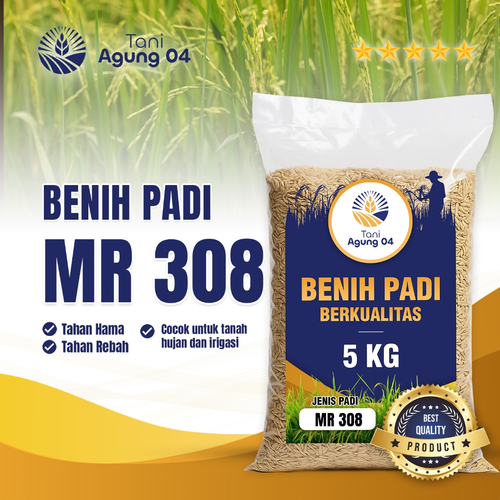 Benih Padi MR 308 Ukuran 5KG