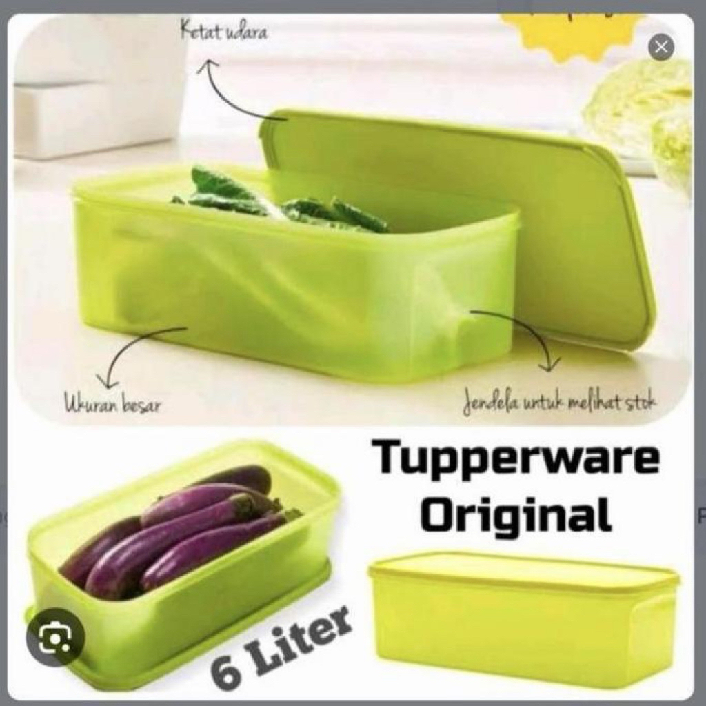 Modular Rectanguler Crisper Tupperware New Kontener