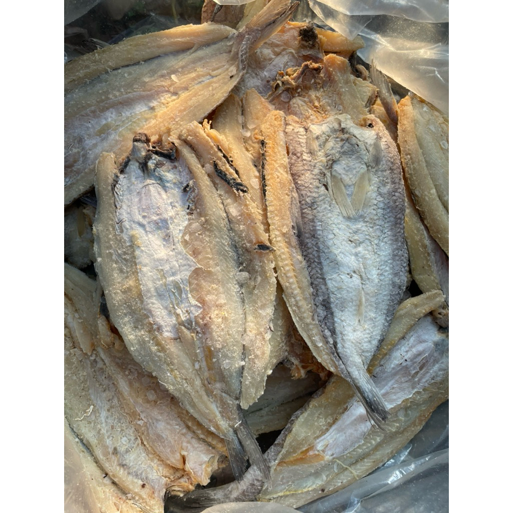 IKAN ASIN GABUS LAUT/BLOSO