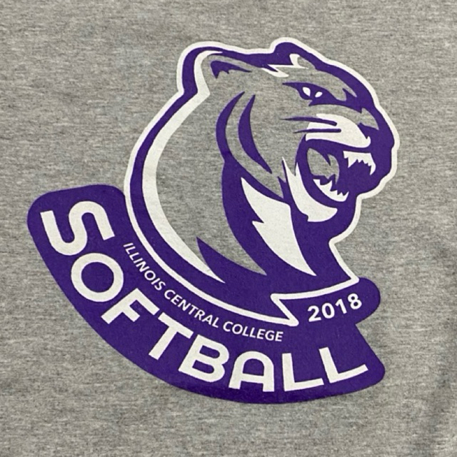 Tshirt Kaos Softball College Illinois Central adidas medium Go-To Tee