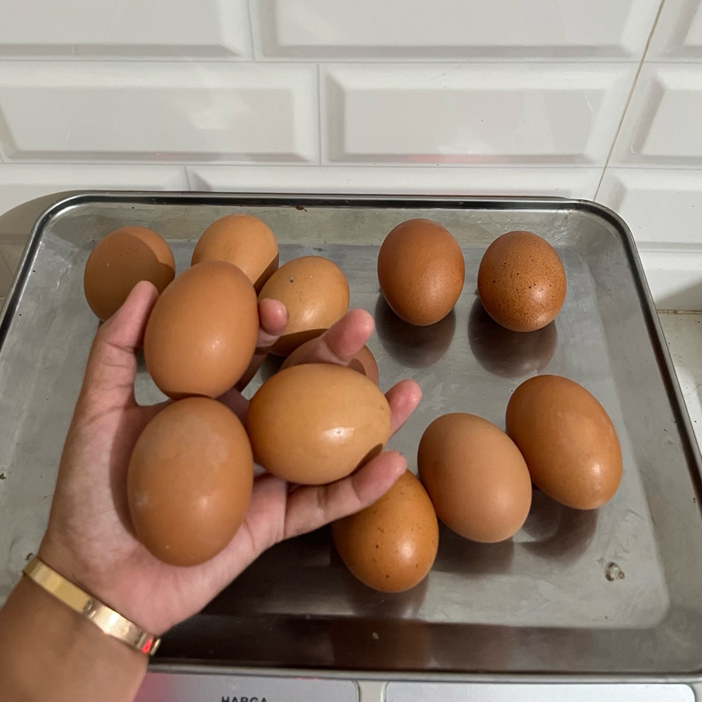 Jual Telur Ayam Negeri 1 KG (Khusus paiton)