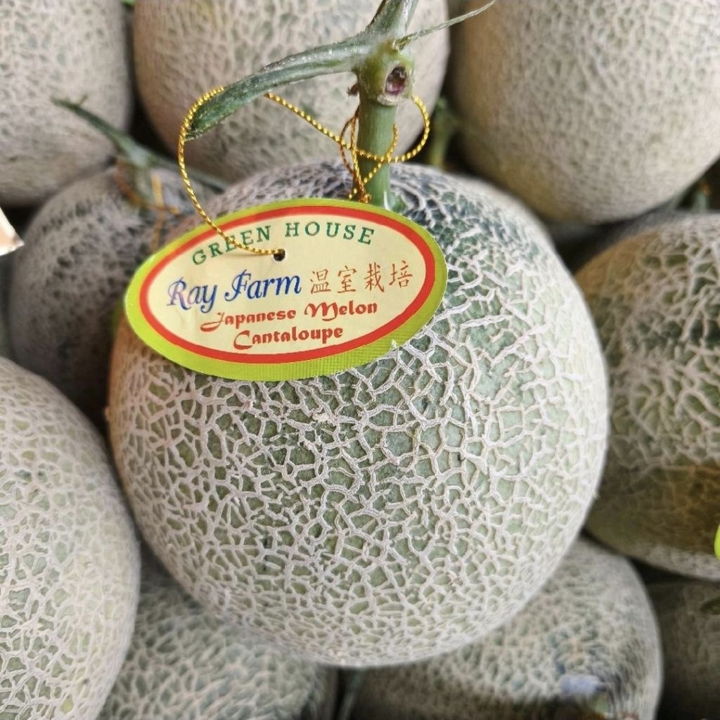 melon cantaloupe orange melon jepang daging orange / pcs
