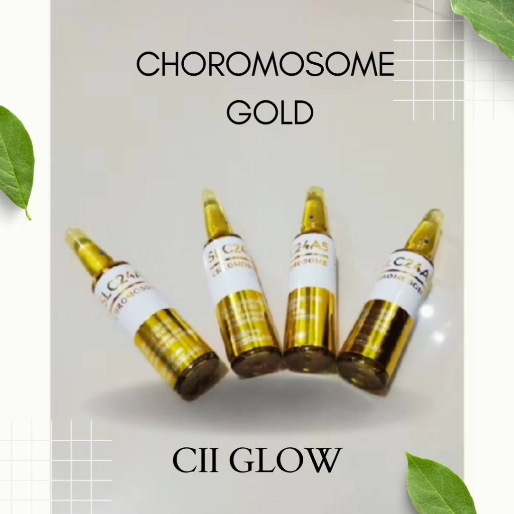 Slc choromosome gold slc gold ecer