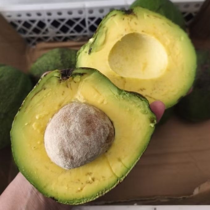 Alpukat Markus 1kg