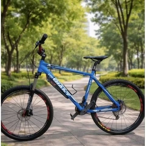 MTB GIANT ATX LTD