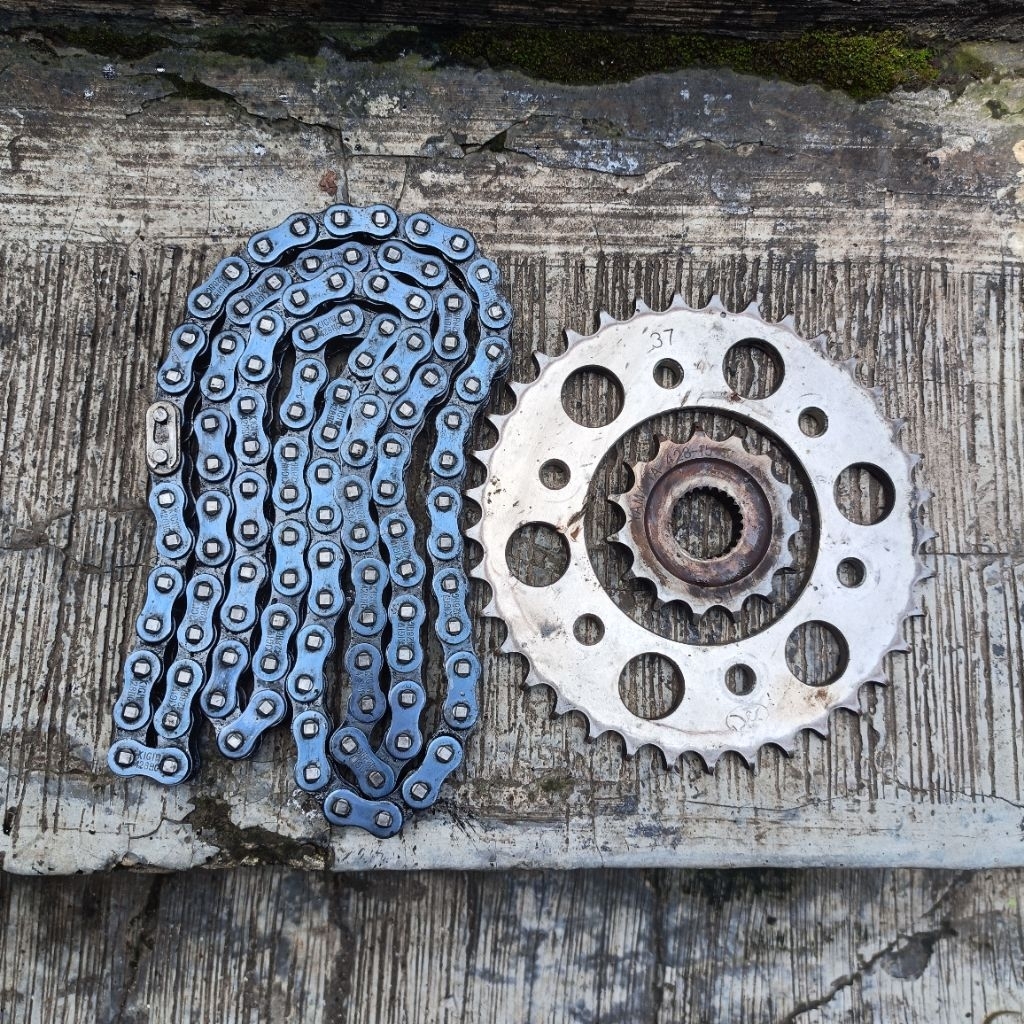 gear set scorpio (428-37/15)
