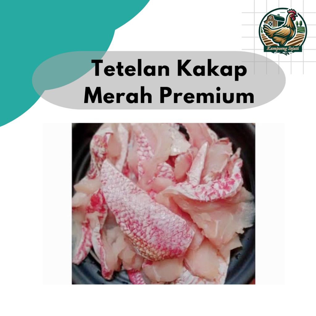 Tetelan Ikan Kakap Merah Premium 250gr 500gr Fresh Fillet Sisa Daging Berkualitas untuk Sup & MPASI