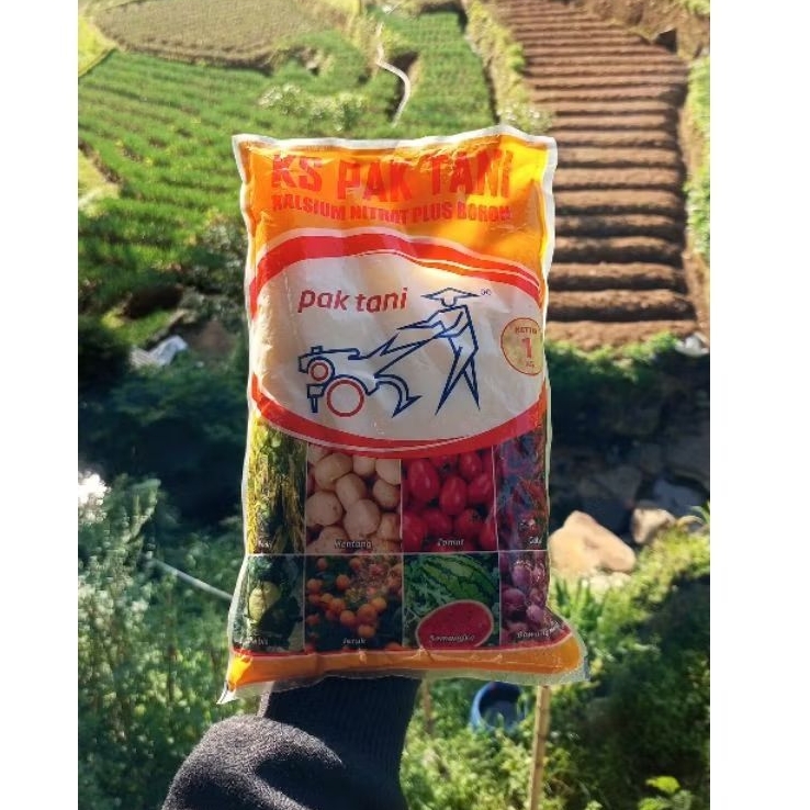 KS PAK TANI BORON 1KG (PUPUK)