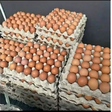 Telur Ayam Negri isi 30 butir ( 1 tray kertas)