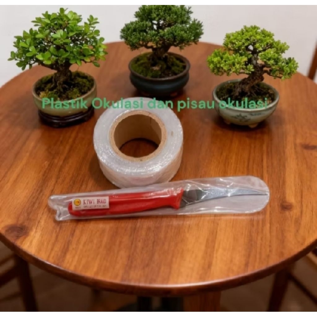 Paket pisau Okulasi + Plastik Grafting Tape Okulasi