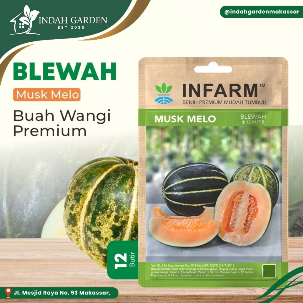 INFARM - Benih Buah Blewah Musk Melo - Benih Super Buah Blewah Benih Unggul - Manis Premium