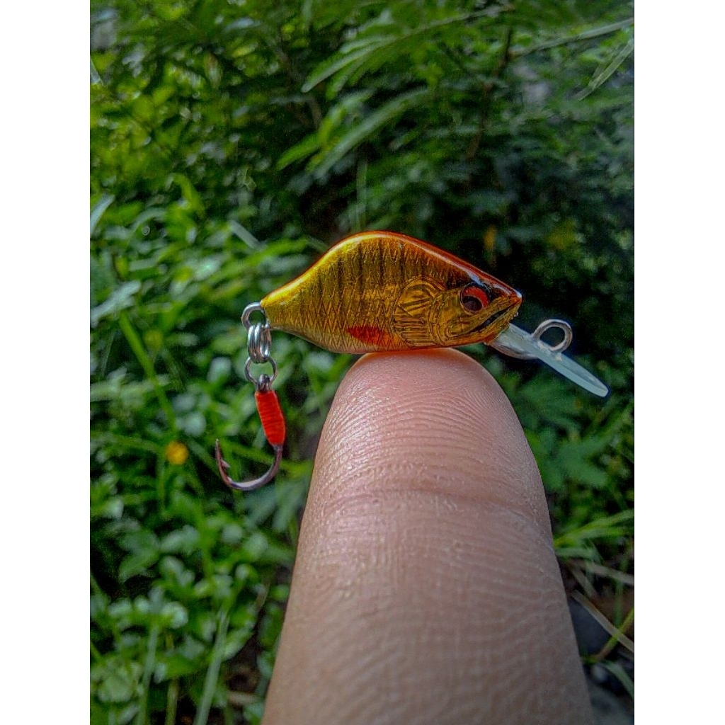 Lure minnow handmade 2cm/1gram