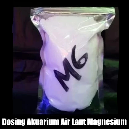 Dosing Big 3 MG Magnesium bubuk 1kg untuk akuarium air laut Perawatan Coral Reef Tank