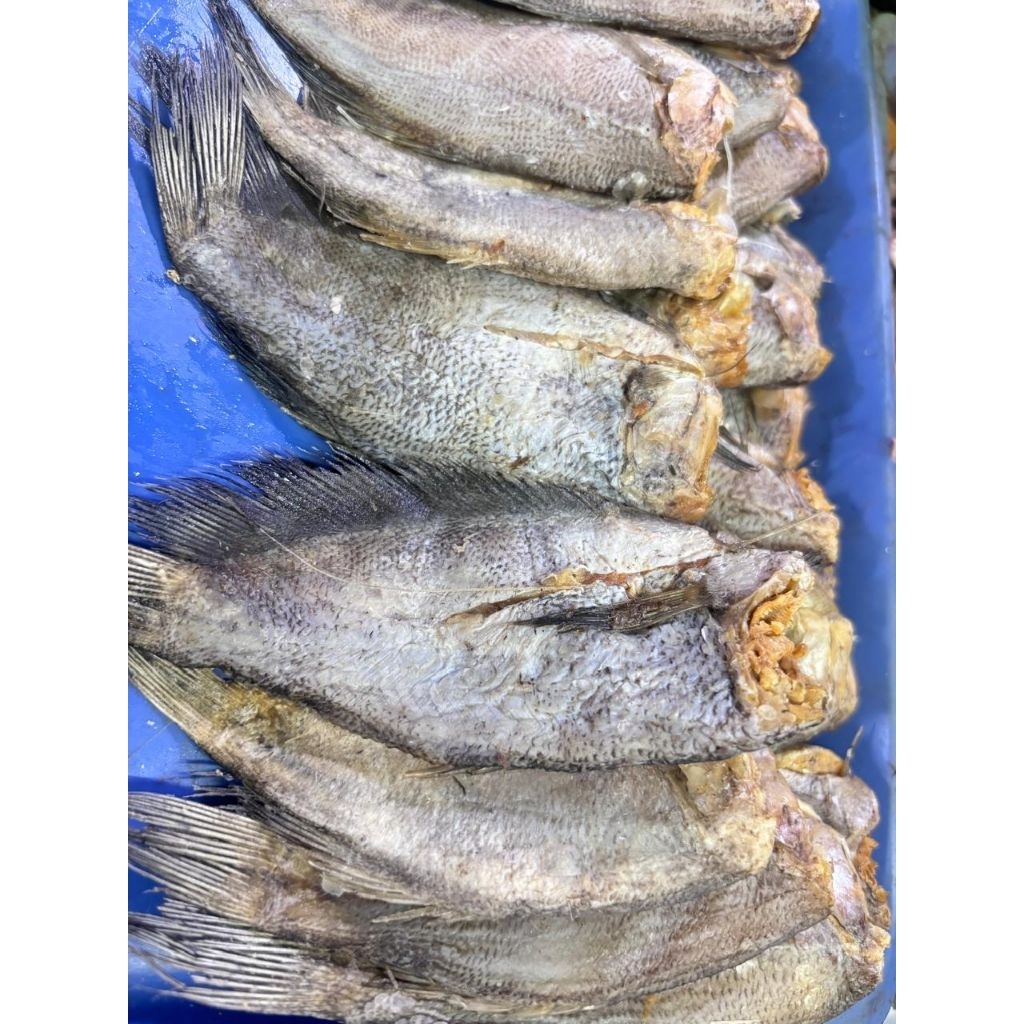 Ikan Asin Sepat Premium / Kualitas Super Segar Fresh