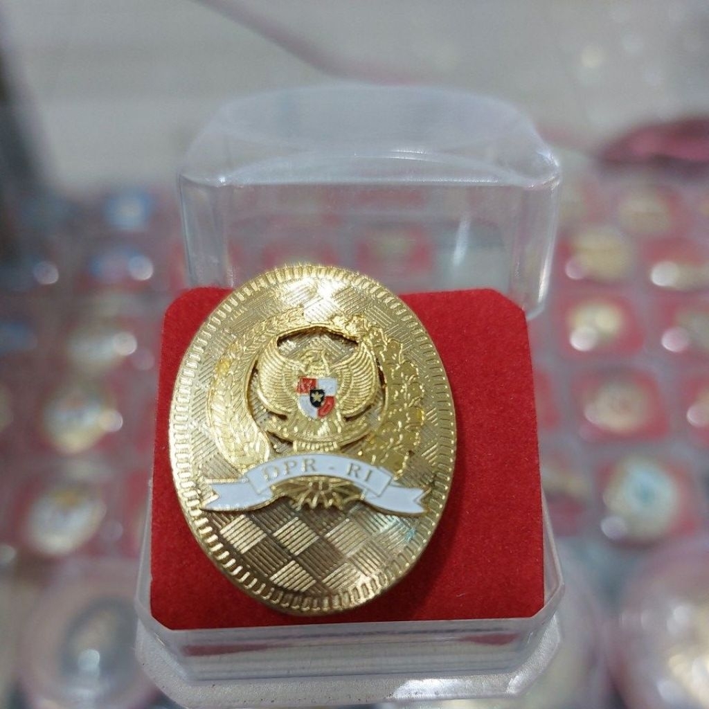 PIN DPR - RI