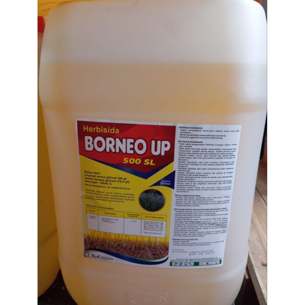 HERBISIDA BORNEO UP 500SL DIRIGEN 20LITER