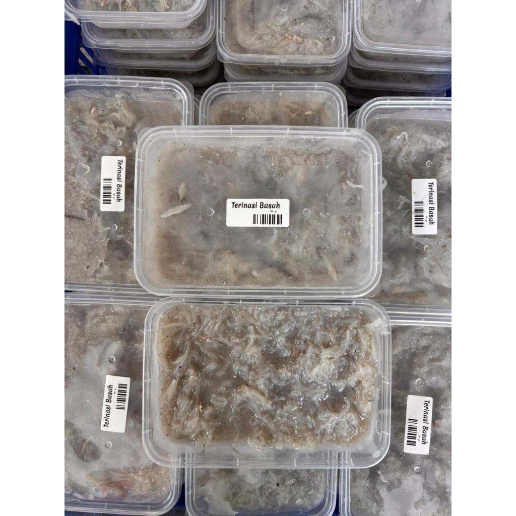 Teri nasi basah