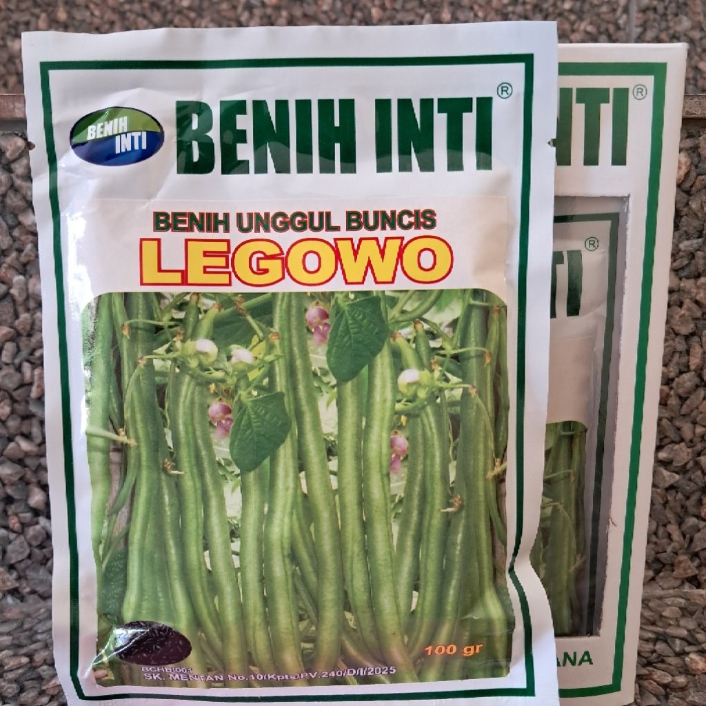 Benih Unggul Buncis LEGOWO dari Benih Inti kemasan 100 gram