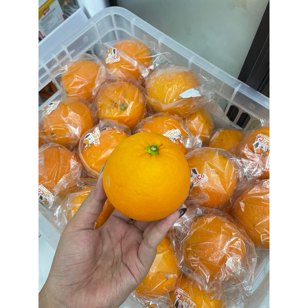 Jeruk Sunkist Jeruk Iris
