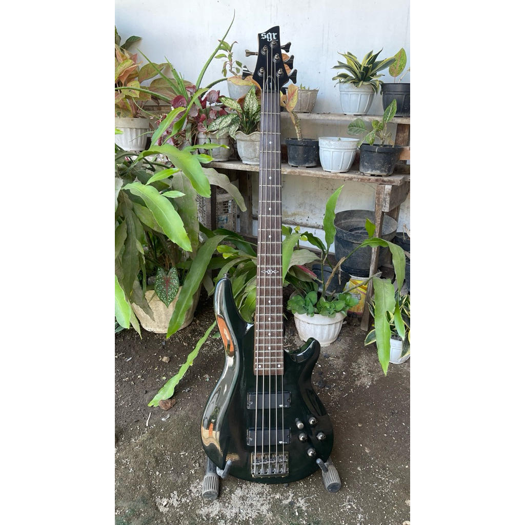 Bass Senar 5 Schecter SGR C5