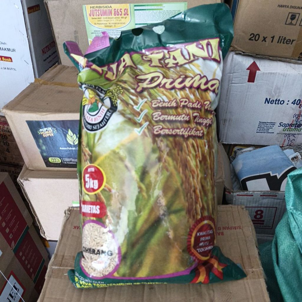 Benih Padi Ciherang Berlabel