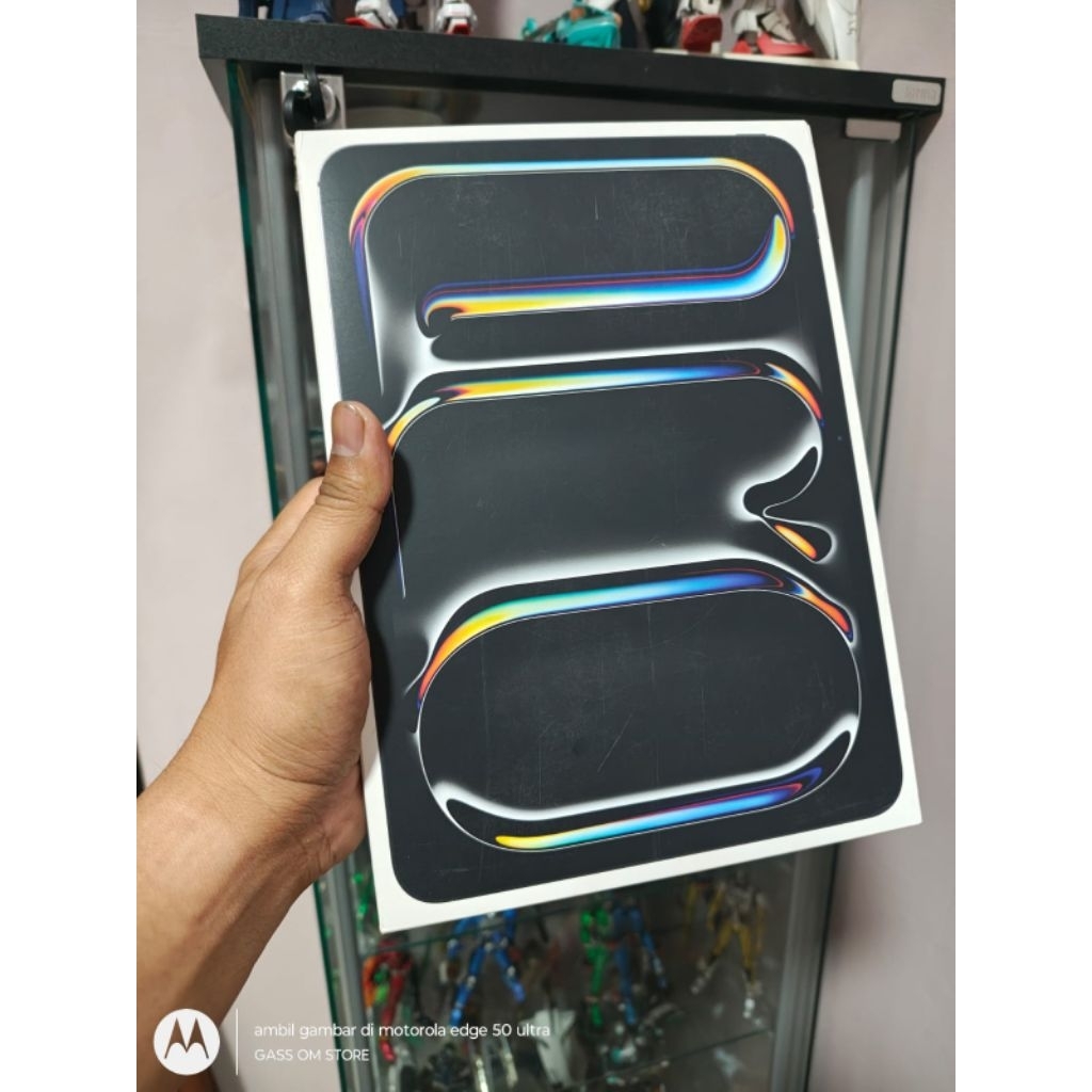 IPAD PRO 11 M5 356GB WIFI & CELULLER RESMI