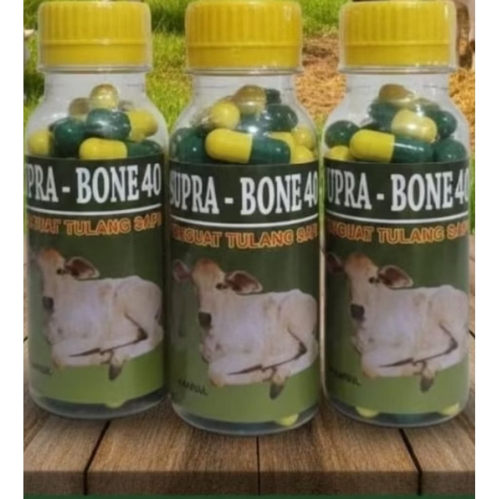 Supra bone obat sapi kambing penguat tulang/obat lumpuh pincang