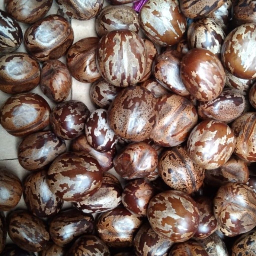 biji karet press 100% aduan untuk mainan kemasan 1kg