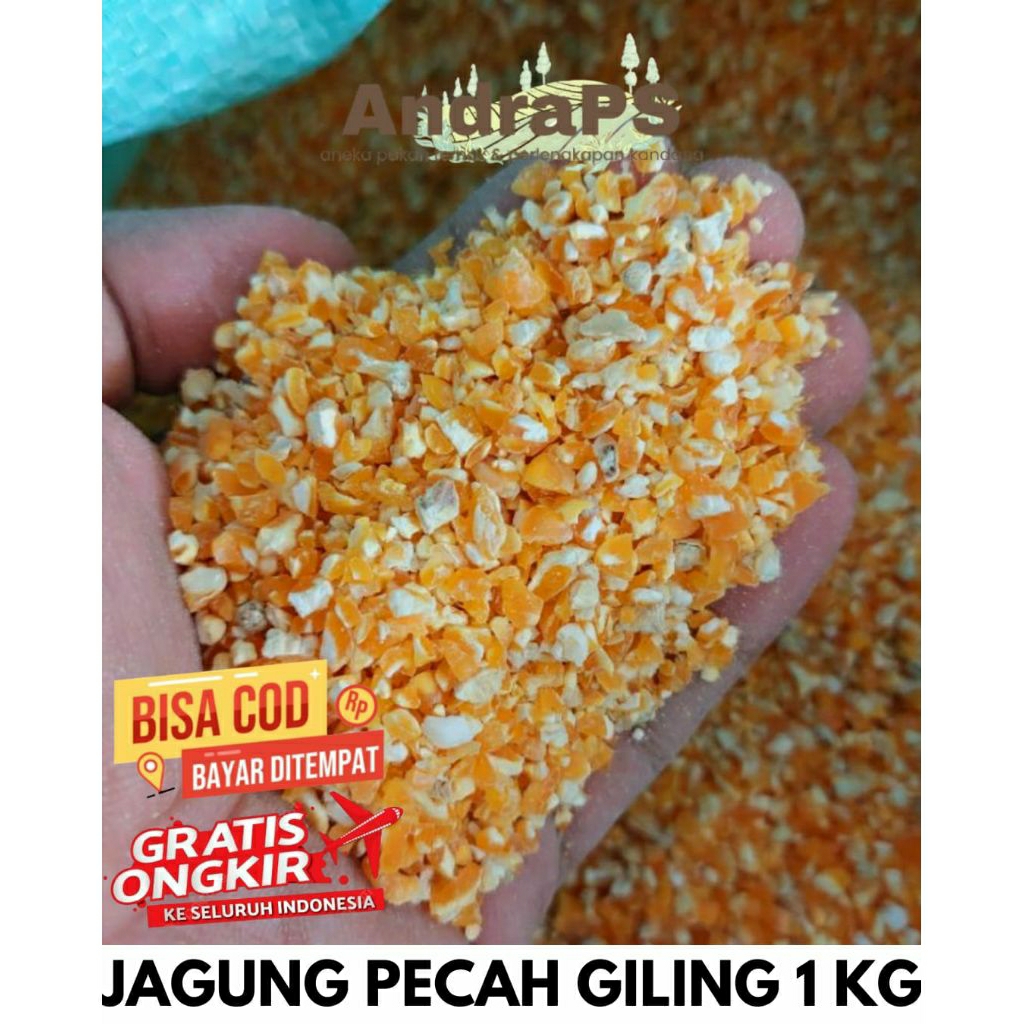 JAGUNG PECAH GILING 1 KG