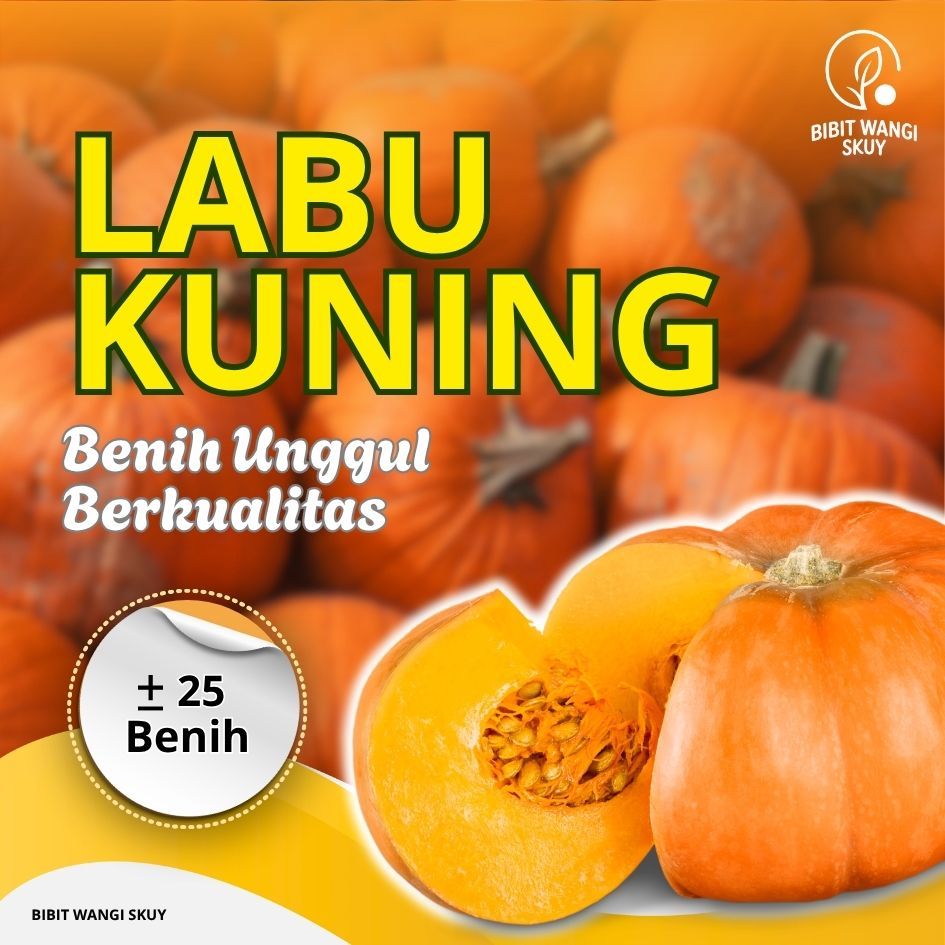 benih unggul labu kuning