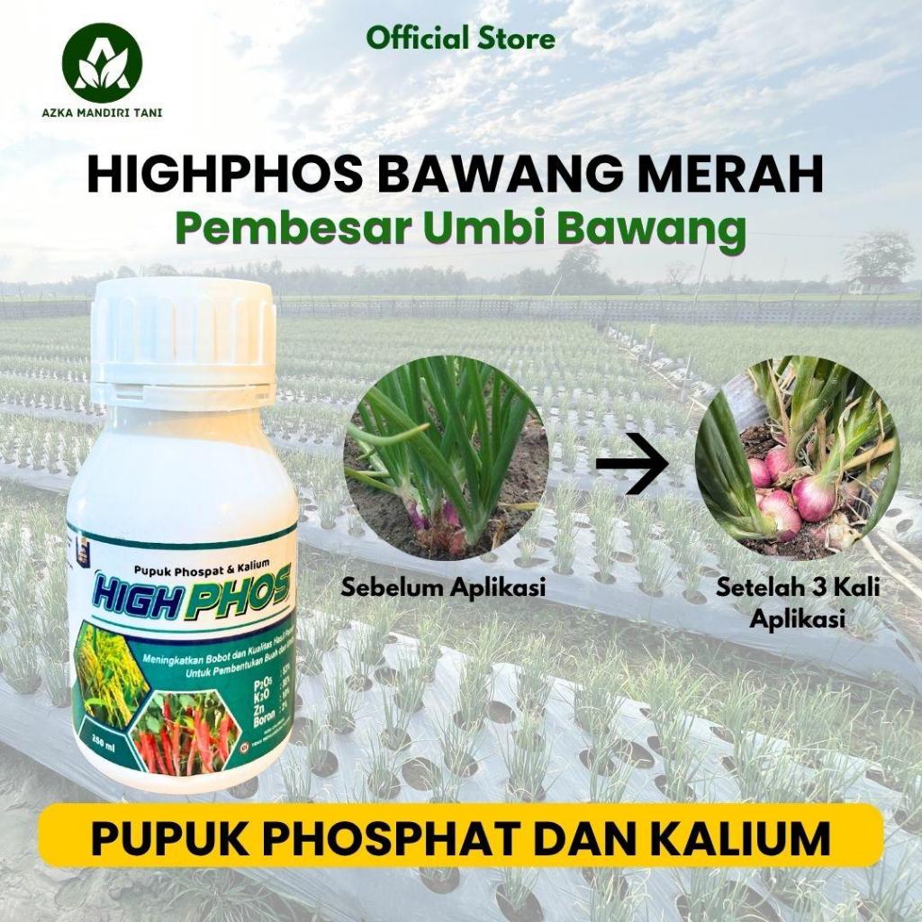 HIGHPHOS BAWANG MERAH PUPUK PHOSPHAT DAN KALIUM PEMBESAR UMBI BAWANG
