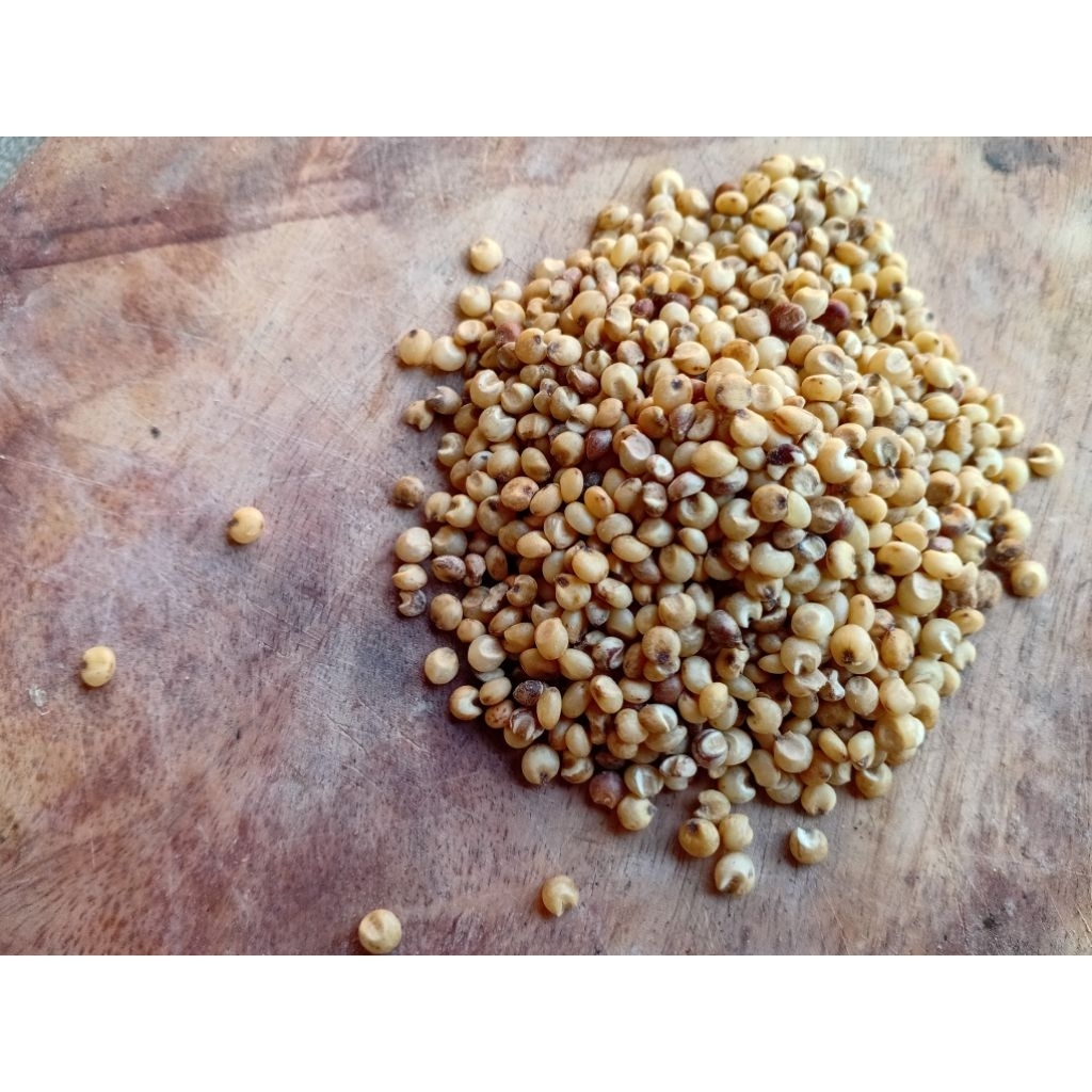 [GRADE B] Sorguhum Bioguma | Sorgum Sosoh | Kemasan 1Kg | Untuk tepung | pakan ayam | Pakan Burung